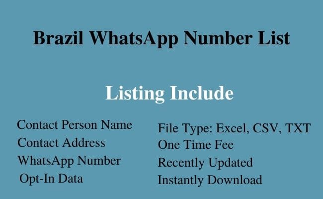 Brazil whatsapp number list